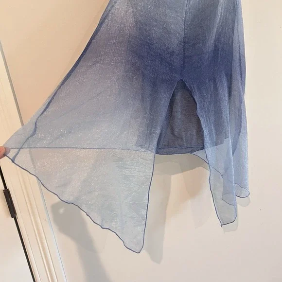 Blue Fairy Sheer Sleeveless Blouse Sz S Asymmetrical Hem Overlay Embroidered - Picture 6 of 12